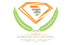 Diamond Hill kids school Logo